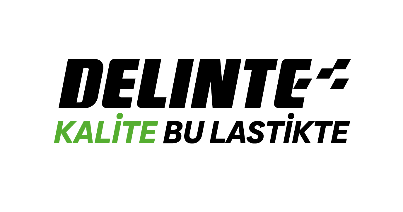 Delinte logo